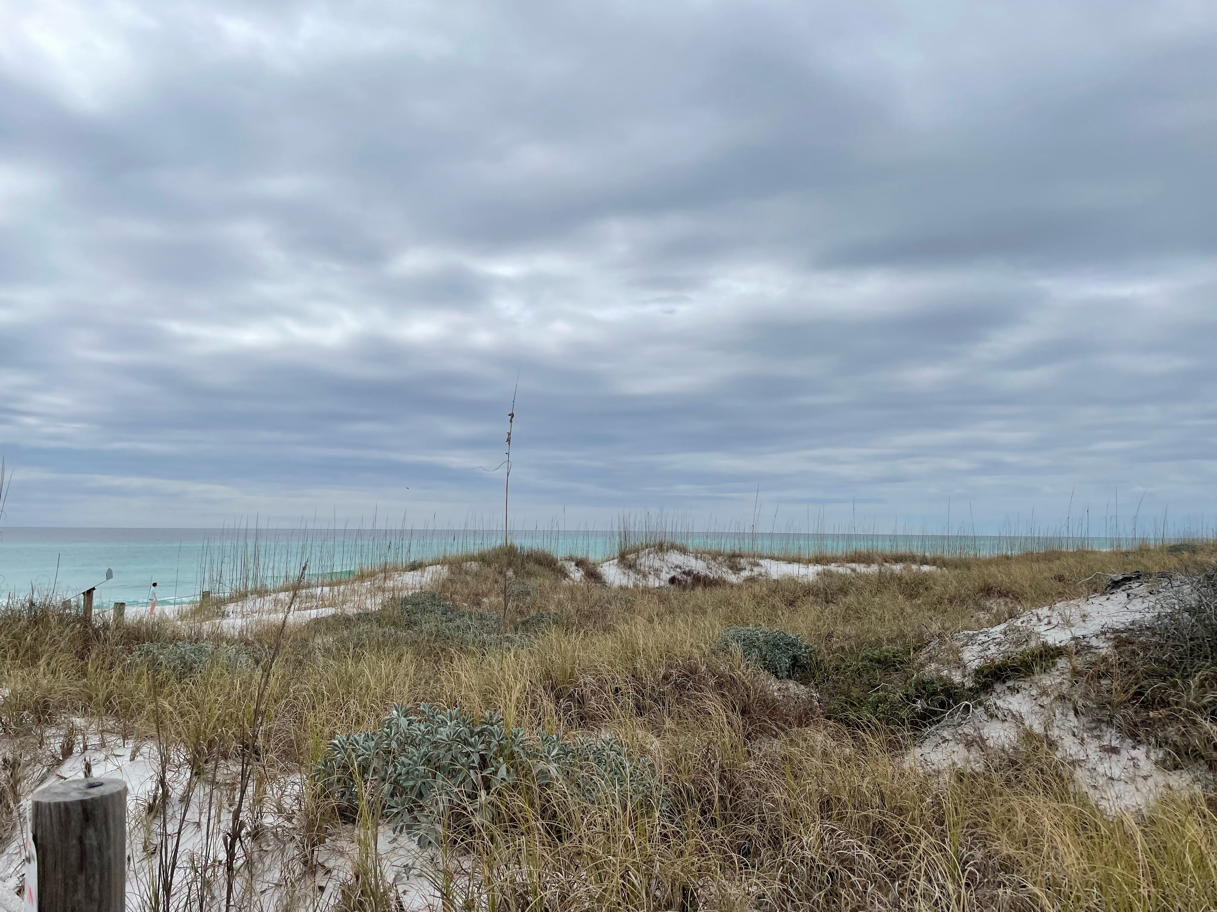 Grayton Beach State Park